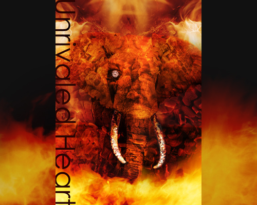 �t�H�g���^�b�` vol.05